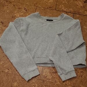 Gray Ribbed Long Sleeve Crop Top